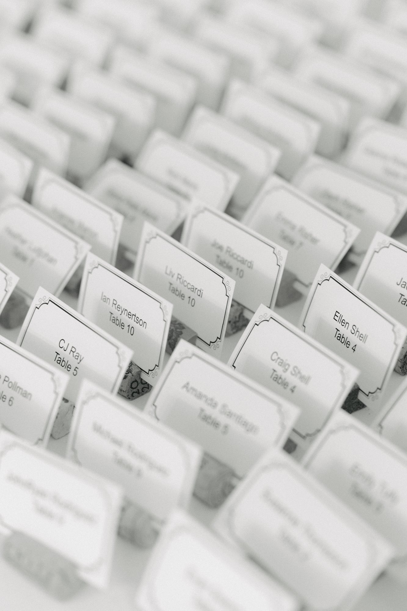 P_D_new-haven-wedding_26